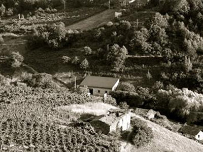 Cach&iacute;n