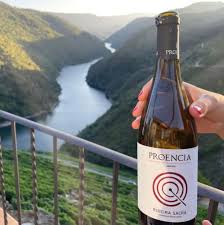 Bodega Proencia