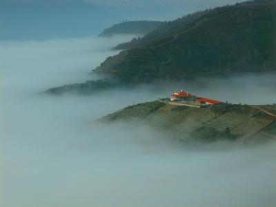 Bodega Regina Viarum